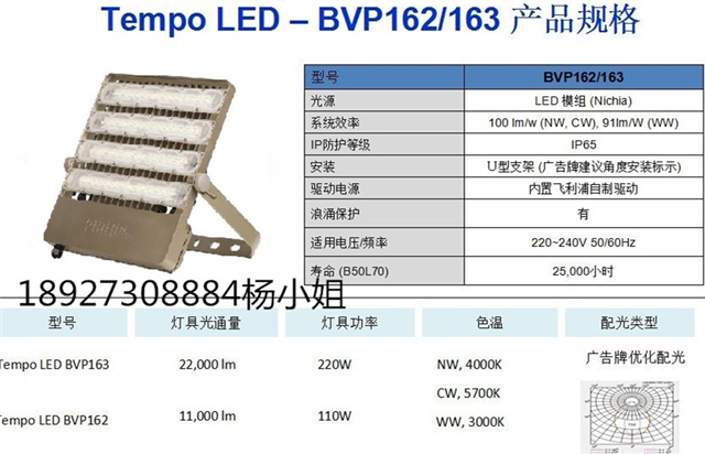 wLEDBVP161 50W݌u