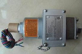 (yng)(gu)CCS_(ki)P(gun)