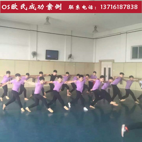 重庆市文化宫舞蹈培训班选用北京欧氏地板舞蹈