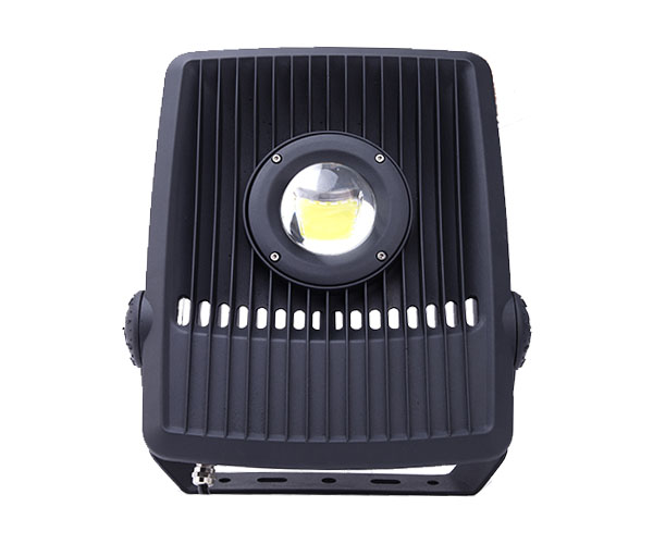 LED 100W