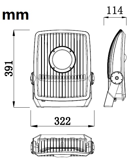 LED 100W