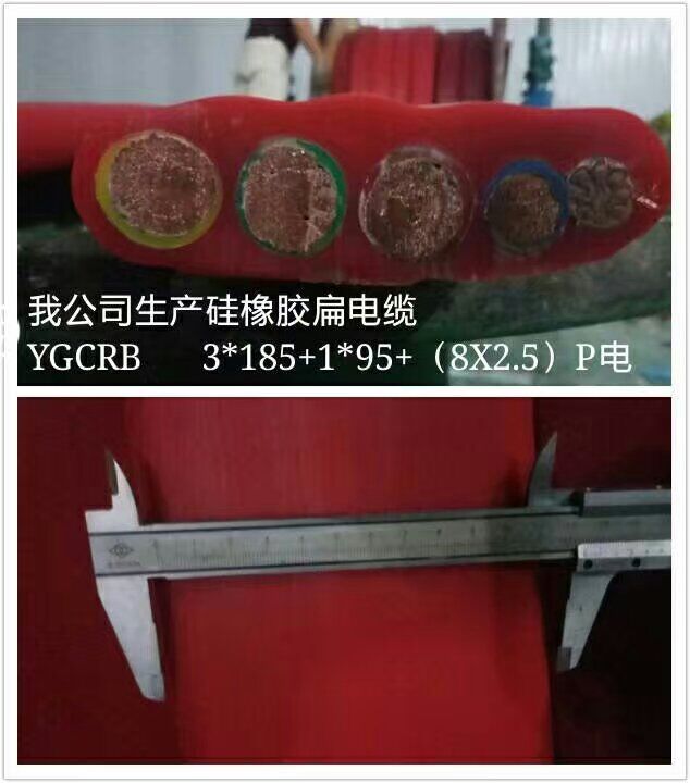 (yng)YGCBƽ|