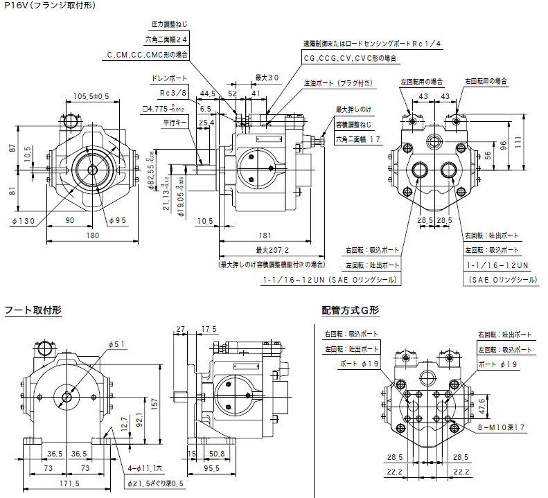 (yng)|~Ƭp16v-rs-11-cm-10-j