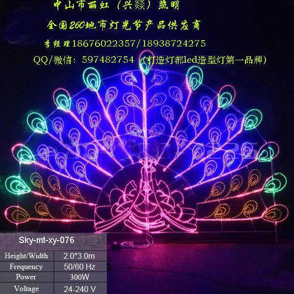 供应灯会灯海灯光节灯具,led造型灯-孔雀