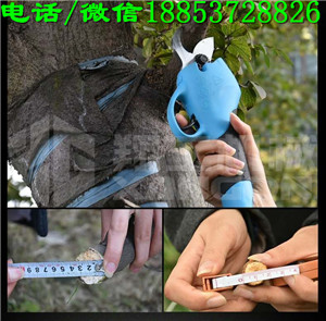 (yng)蹤늄ӹ޼C늄Ӽ֦a(chn)S
