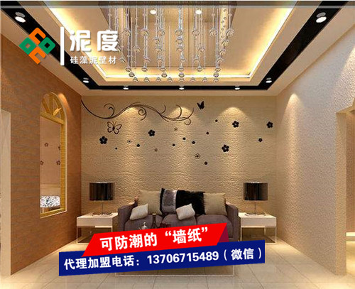 墙面硅藻泥施工多少钱一平方?江苏硅藻泥加盟多钱?