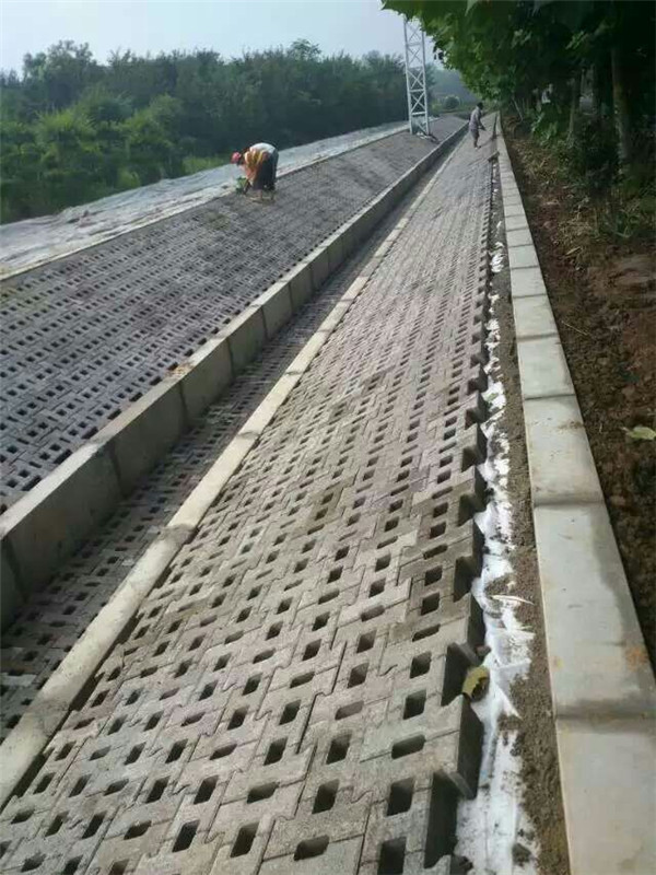 厂家生产销售河道连锁式护坡砖生态护坡砖