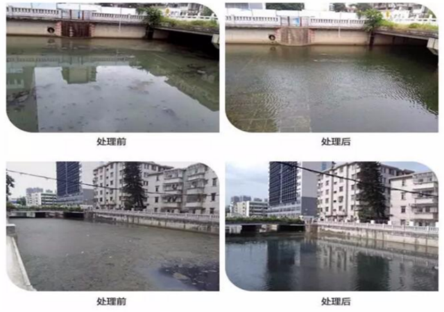 戈顿水宝_河道黑臭水体治理专家