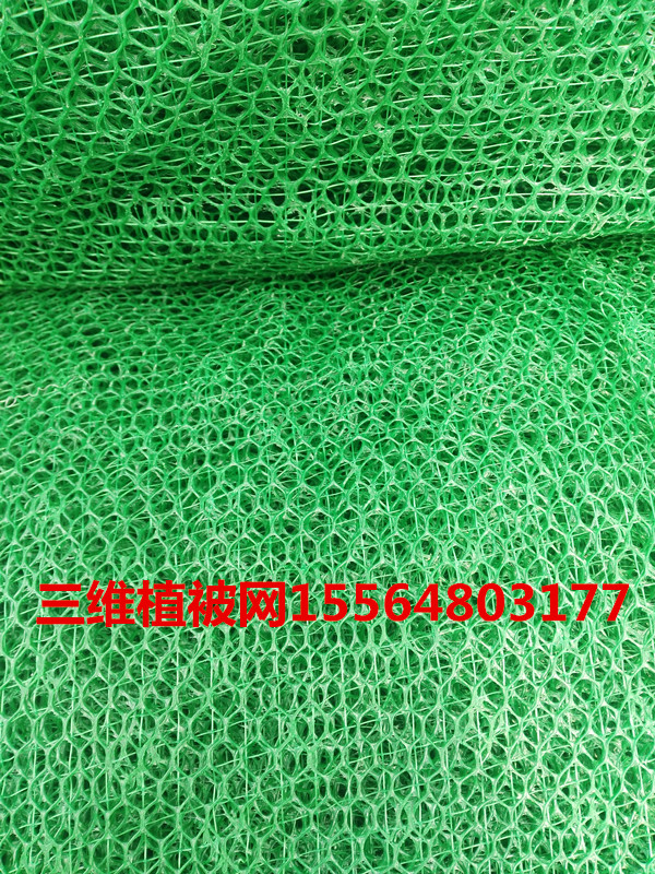 SֲW(wng)/SW(wng)|2-5ӏSҷN***ԃr