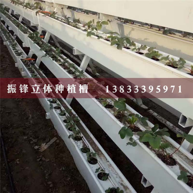 草莓种植槽价格