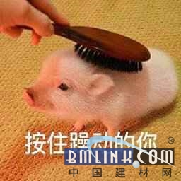ľW