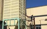 钢板仓内粮情检测下的水稻!