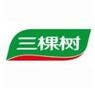 三棵树