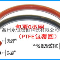 ʰOȦPTFE˫ķܷȦ