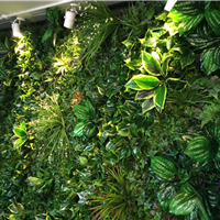 新款简约风模仿 真植物墙各种场合满足你的想象室内外绿植墙工艺