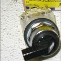  Supply 9001K3L35GH13 American standard combination button switch