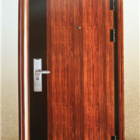  Security doors, security doors for common people and intelligent locks