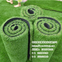  Supply plastic runway artificial lawn suspended floor pvc floor