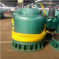  Safe and reliable supply of BQS4KW mine sewage pump for Sanming Mine