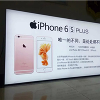 8CMޱ߿ĤĤ䳧