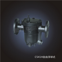 (yng)CS41Hɸʽˮy