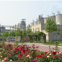Ӧеȹ42.5ˮ