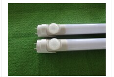 T8 LED/Ӧƹ