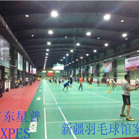 北京室内羽毛球馆顶灯设计方案