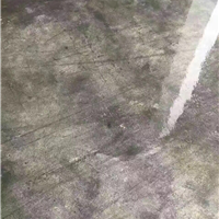 - 