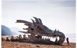 海岸上突现“巨型龙骨”引发众人热议, 得知真相却是闹了个乌龙!-龙骨