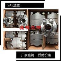 θ   JB/ZQ4477-2006 ԺSAE